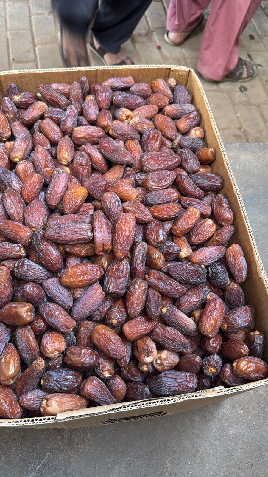 Premium Medjool Palestine Dates