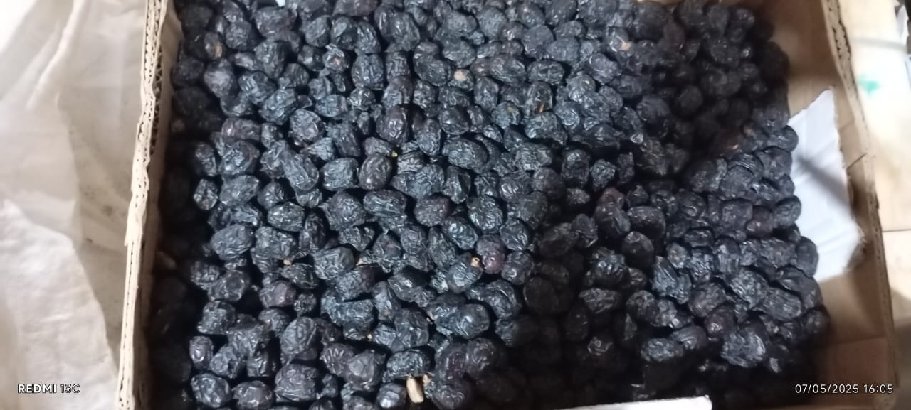 Premium Ajwa Small Dates